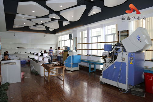 新泰華鞋業(yè) 引領(lǐng)OEM代工新篇章