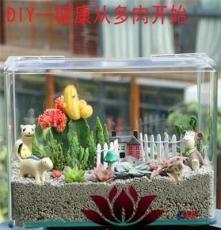 上海清繪園藝養護服務 以專業匠心，守護城市綠意之美